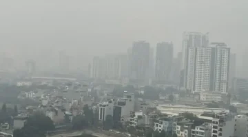 تقلبات جوية مفاجئة.. موعد عودة موجة البرد الشديدة إلى المناطق الشمالية